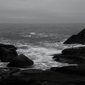 中国老头logo免费观看
